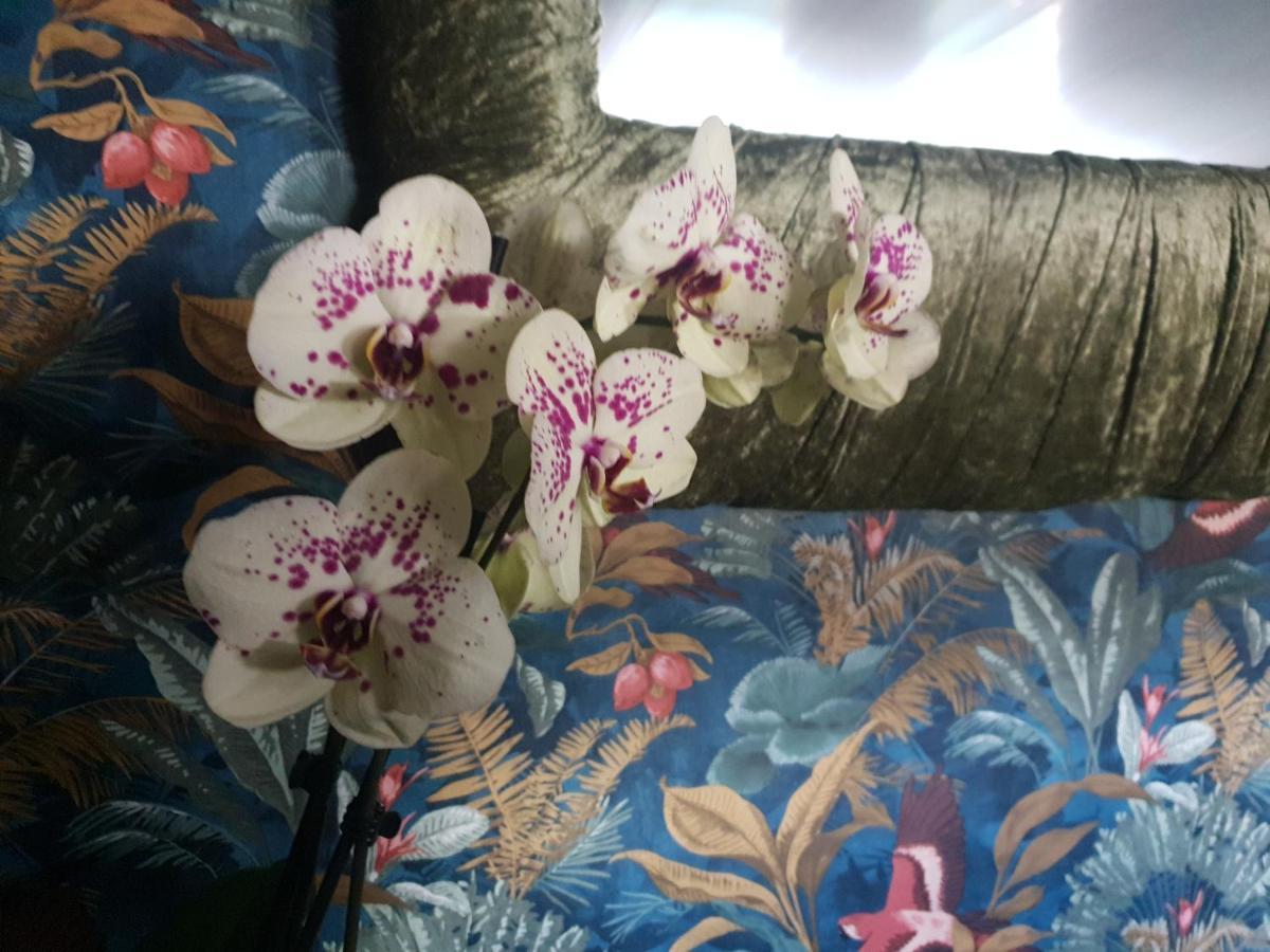 Jasmine Coral Jay Boutique Boatel Ocean Village Gibraltár Kültér fotó