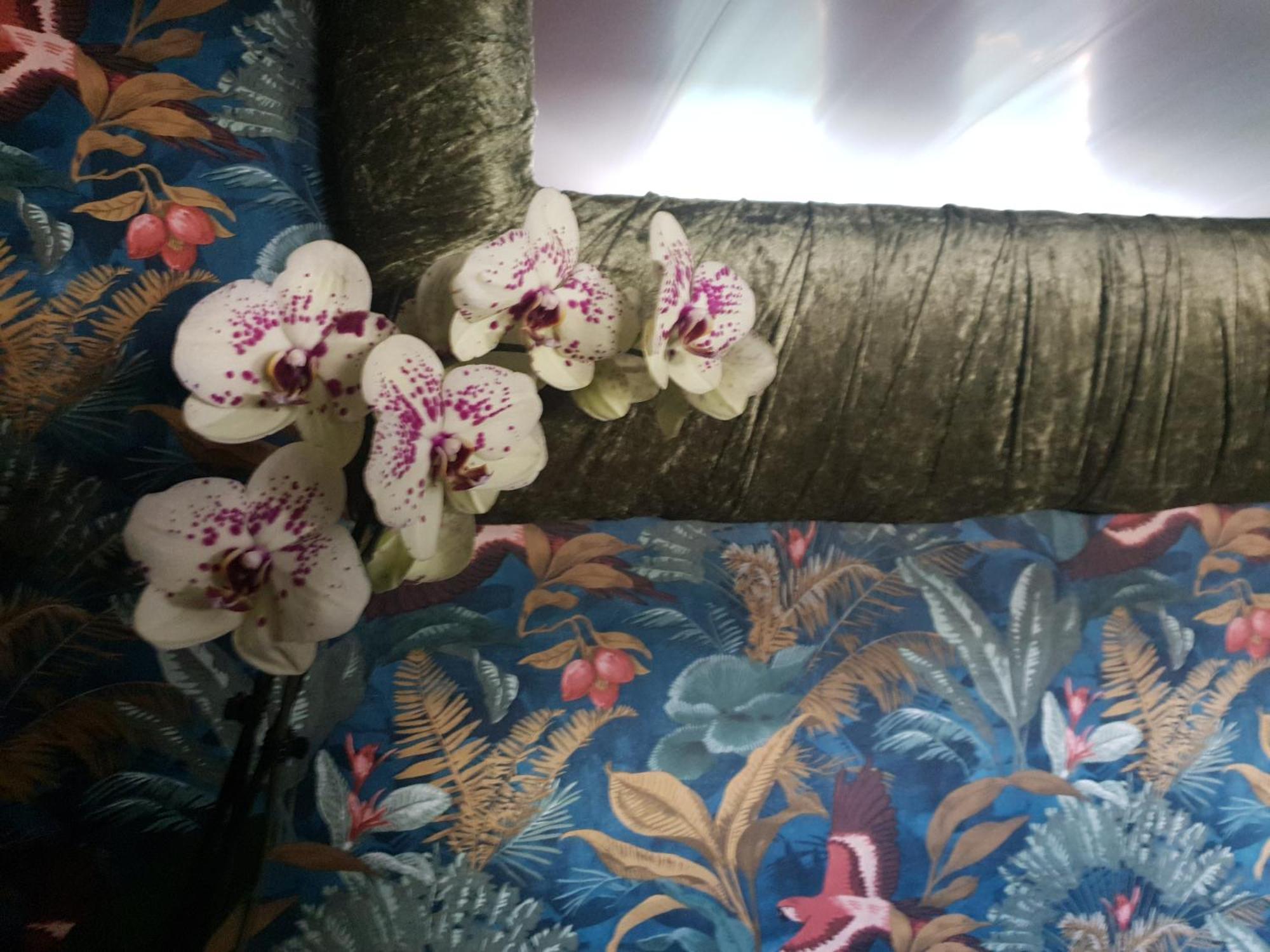 Jasmine Coral Jay Boutique Boatel Ocean Village Gibraltár Szoba fotó